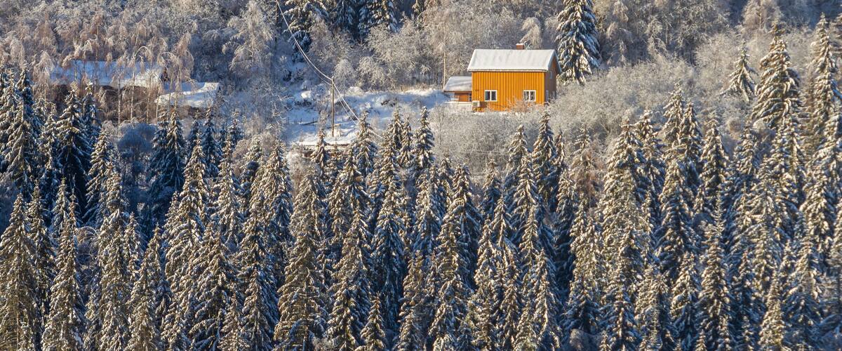 A wooden cabin surrounded by snow-covered trees in a forested area.