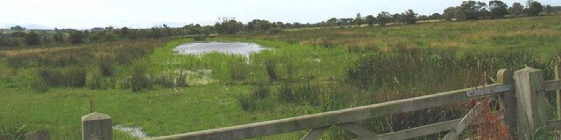 Flooded mine workings