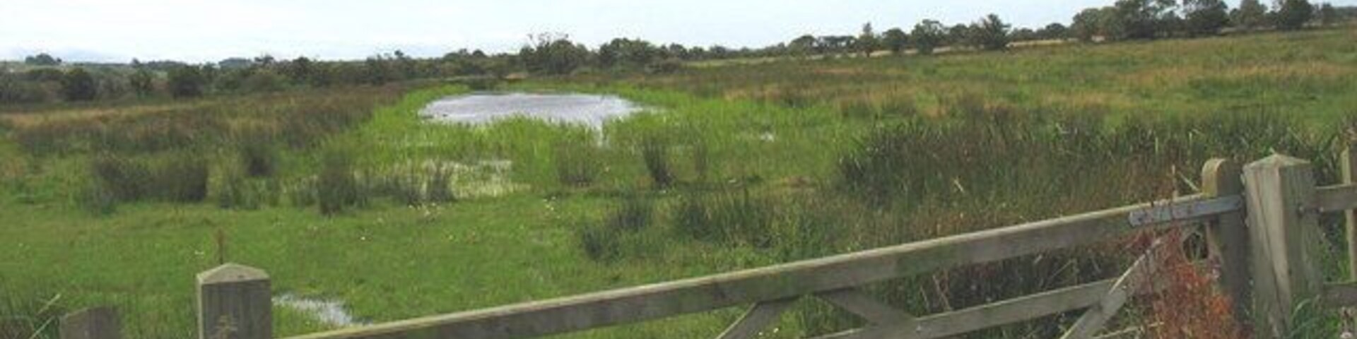 Flooded mine workings