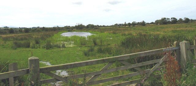 A rural landscape with a wooden gate, a pond, and a grassy field.