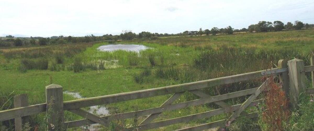 A rural landscape with a wooden gate, a pond, and a grassy field.