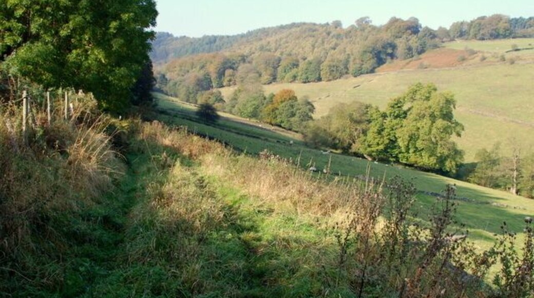 Mag Clough This grassy lane peters out at the trees and the rest of the valley is inaccessible.
