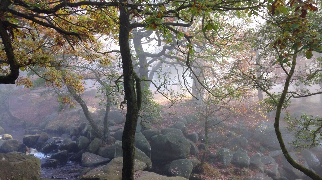 Absolutely gorgeous day in the Peak District. Brontë country. It feels like stepping back in time, I could have stayed there watching the mist hover over the river and between the trees all day.