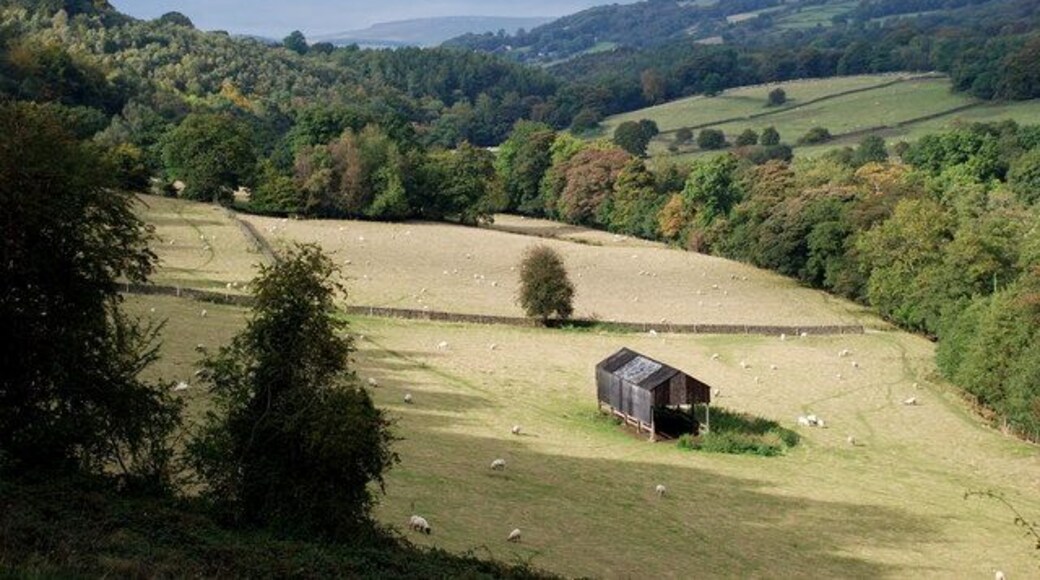 Barn in the Derwent Valley Looking down from the road above Grindleford, this barn can be seen in the lush meadows which run along both sides of the river. In the far distance is Stanage Edge.