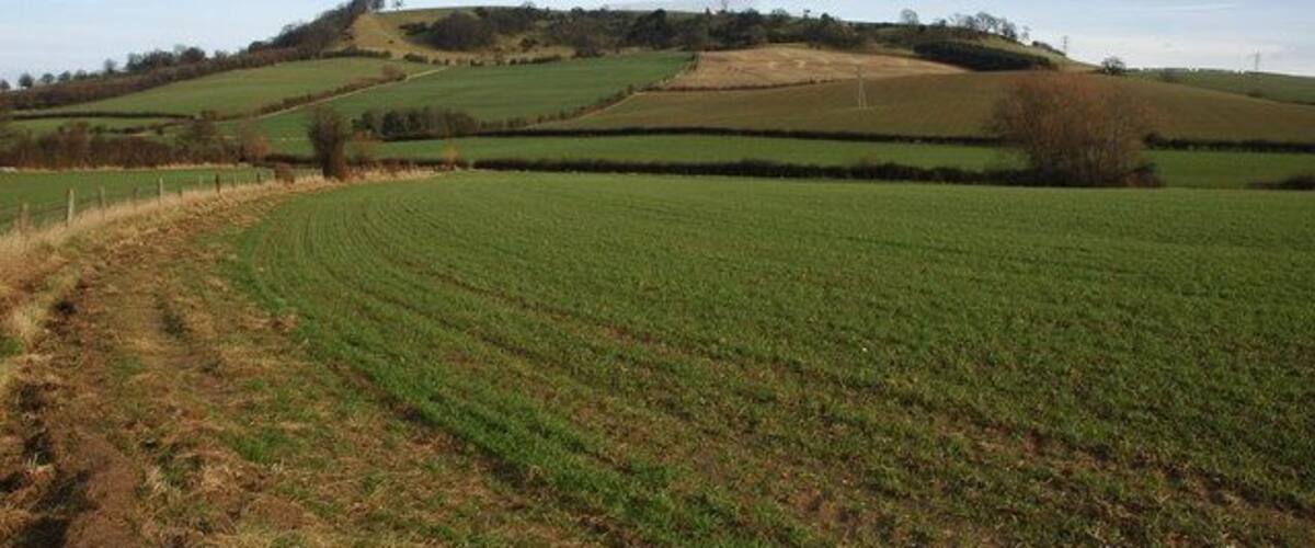 A rural landscape with rolling hills, a field, and a fence.