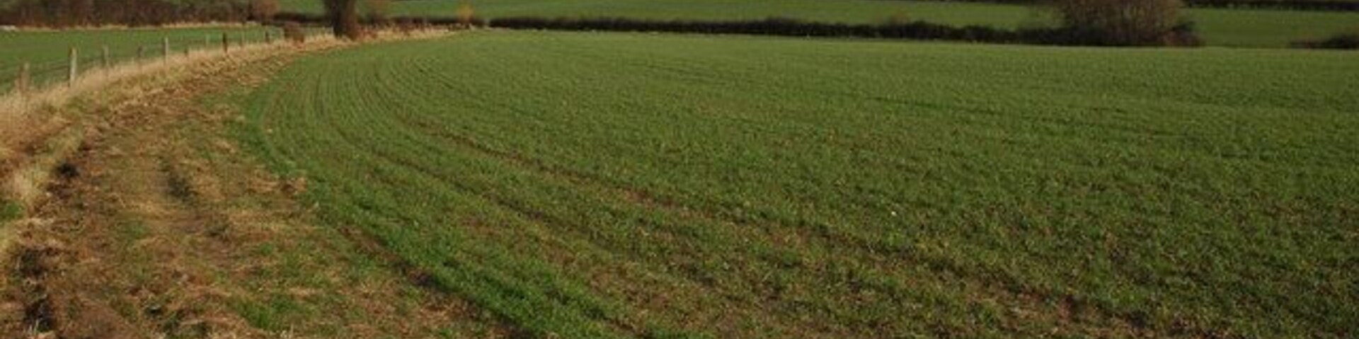 A rural landscape with rolling hills, a field, and a fence.