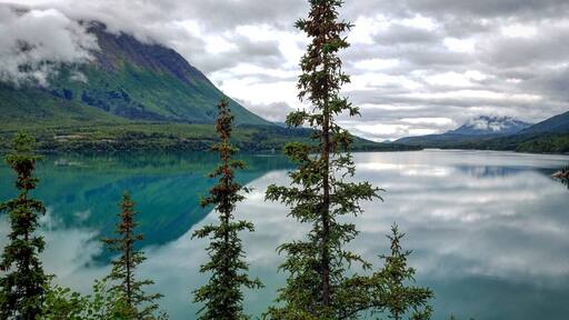 Cooper Landing, Alaska sits on the Kenai River, which feeds Kenai Lake. It's a popular destination for fishermen and nature lovers. I would've enjoyed staying there a few days more.