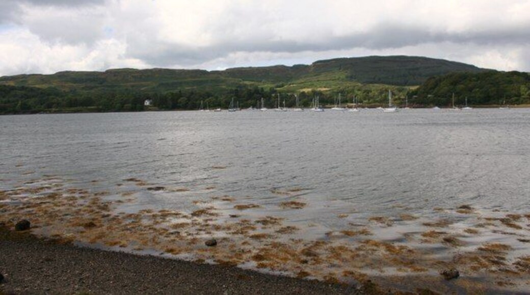 Ardentallen Bay Yachts anchored at Ardentallen across Loch Feochan.