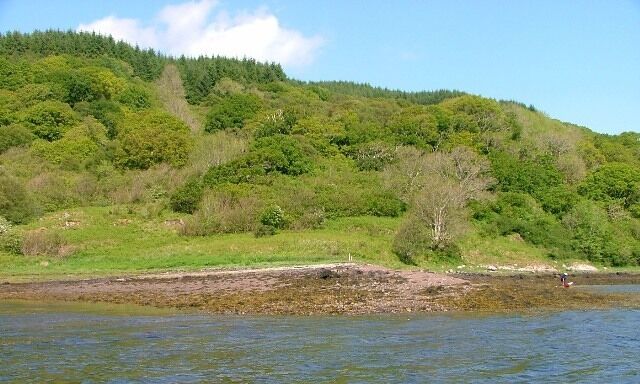 Woodland, Carn Breagach On the northern shore of Loch Feochan, a small spit of land jutting into the loch. The trees nearest the loch are a popular roosting site for herons.