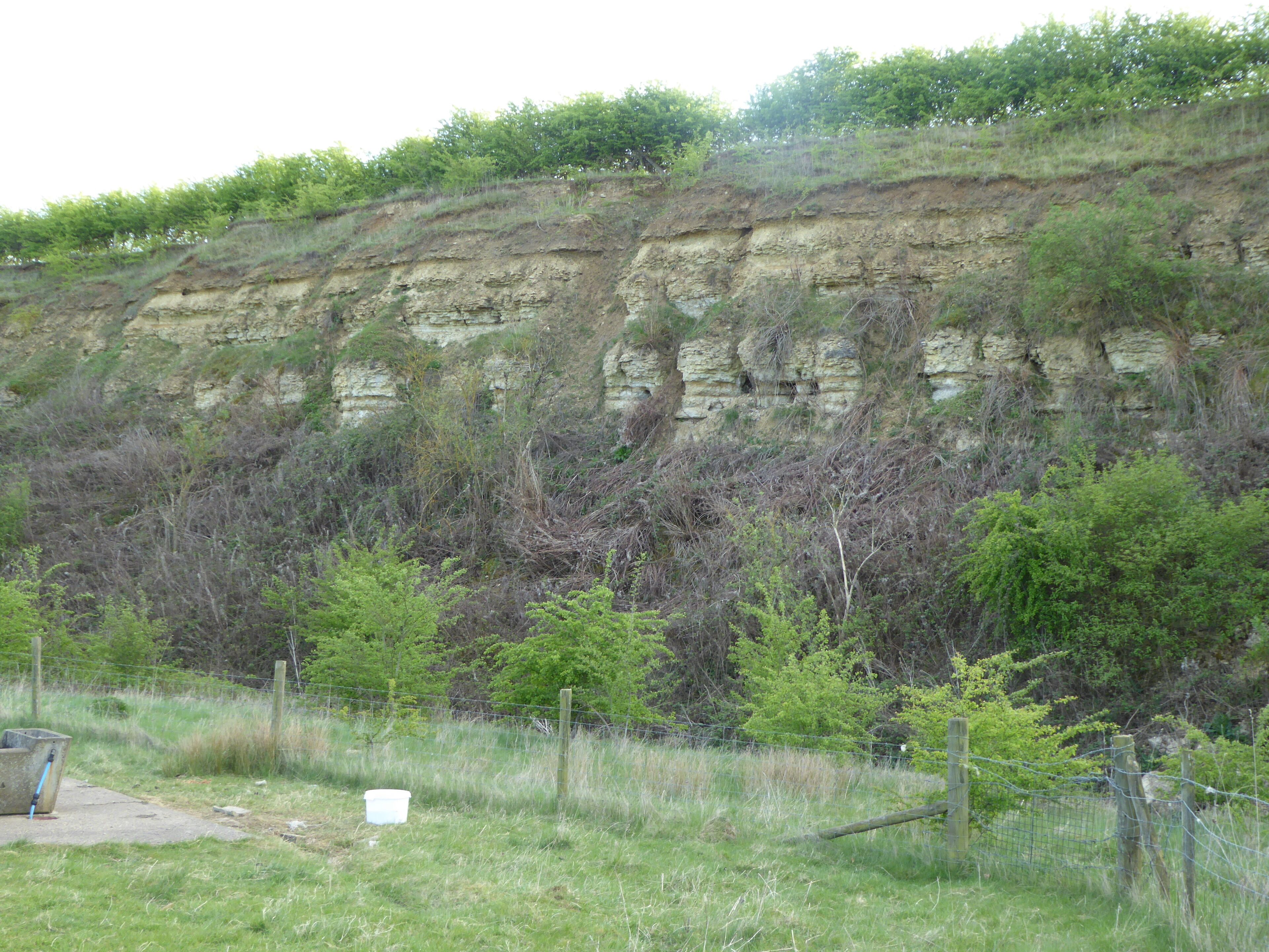 Cranford St John SSSI is a geological Site of Special Scientific Interest in Cranford St John in Northamptonshire.