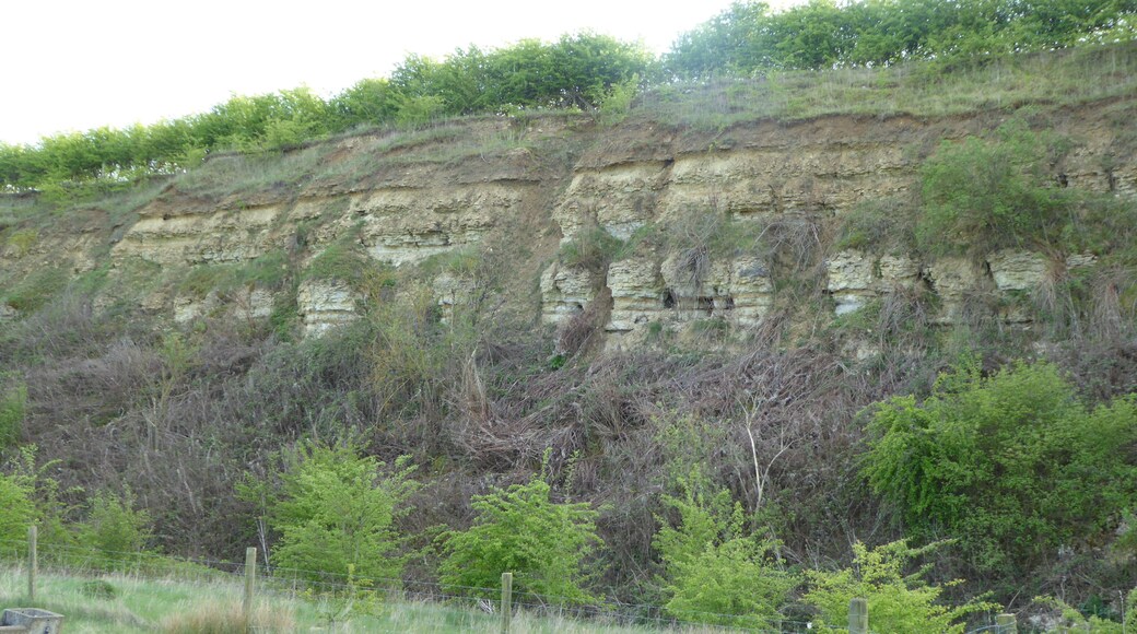 Cranford St John SSSI is a geological Site of Special Scientific Interest in Cranford St John in Northamptonshire.