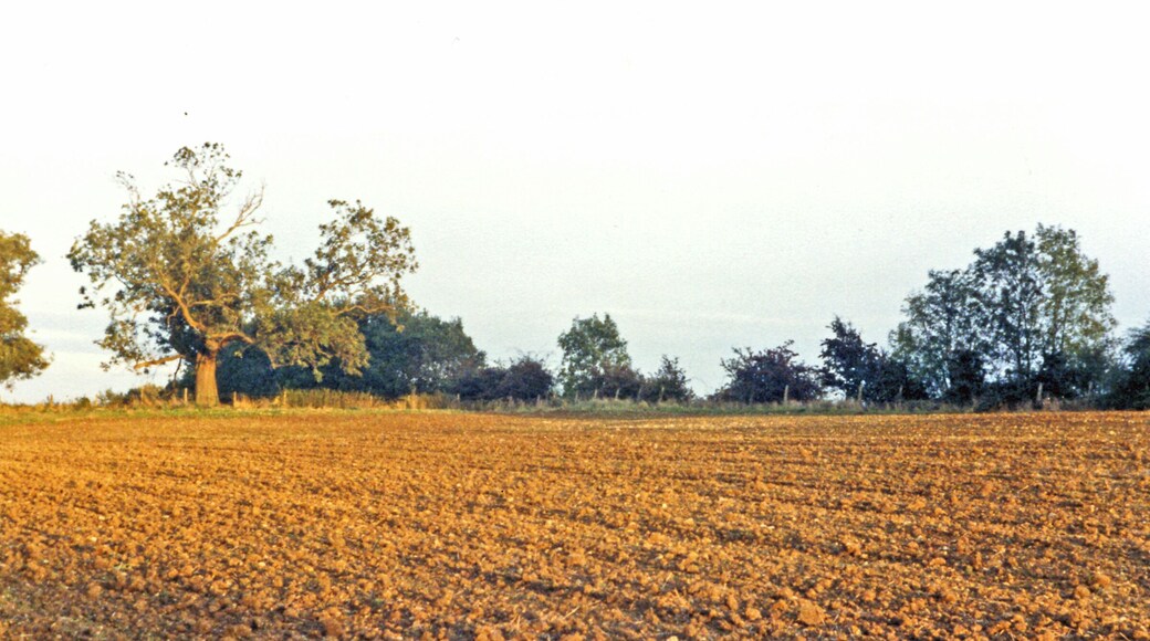 Site of Cranford station, 1987. View SE from A604, towards Thrapston and Huntingdon on the ex-Midland line from Kettering to Huntingdon East. The station was closed 2/4/56 (goods 6/11/61). The line was closed to passengers (to goods only Kimbolton - Huntingdon) from 15/6/59. Goods Kettering - Twywell continued until 24/10/69.