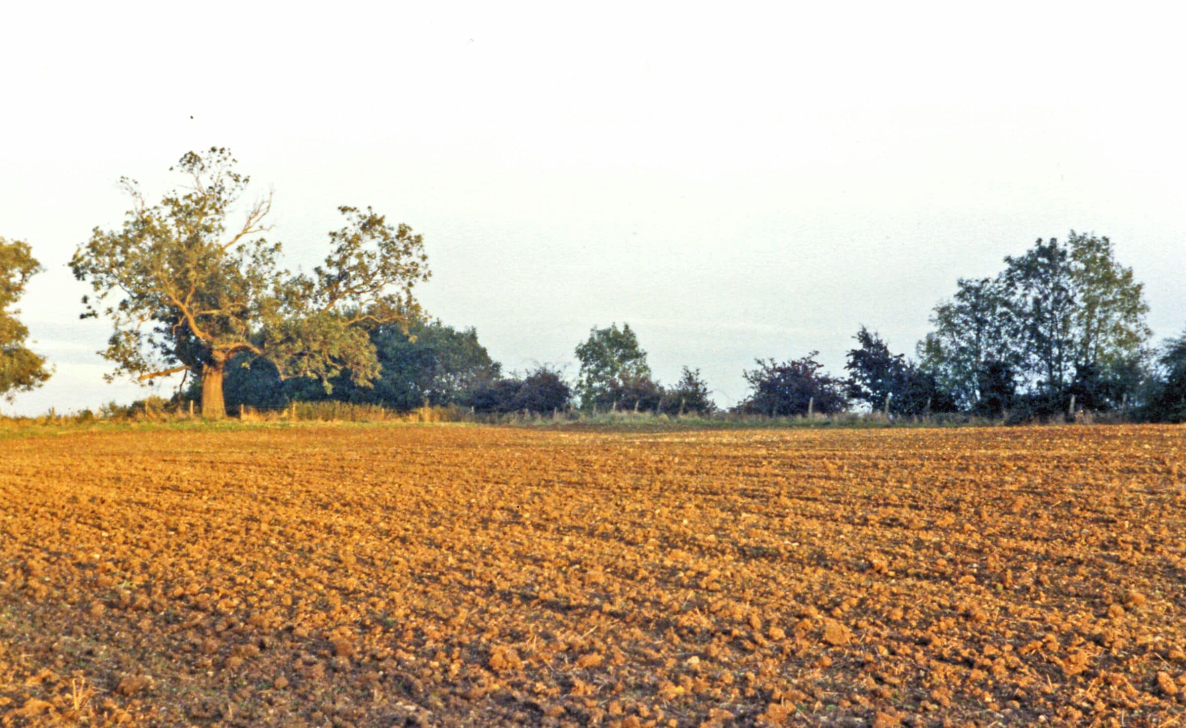 A plowed field with trees in the background.