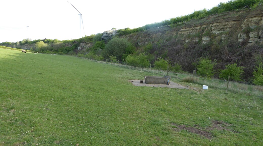 Cranford St John SSSI is a geological Site of Special Scientific Interest in Cranford St John in Northamptonshire.