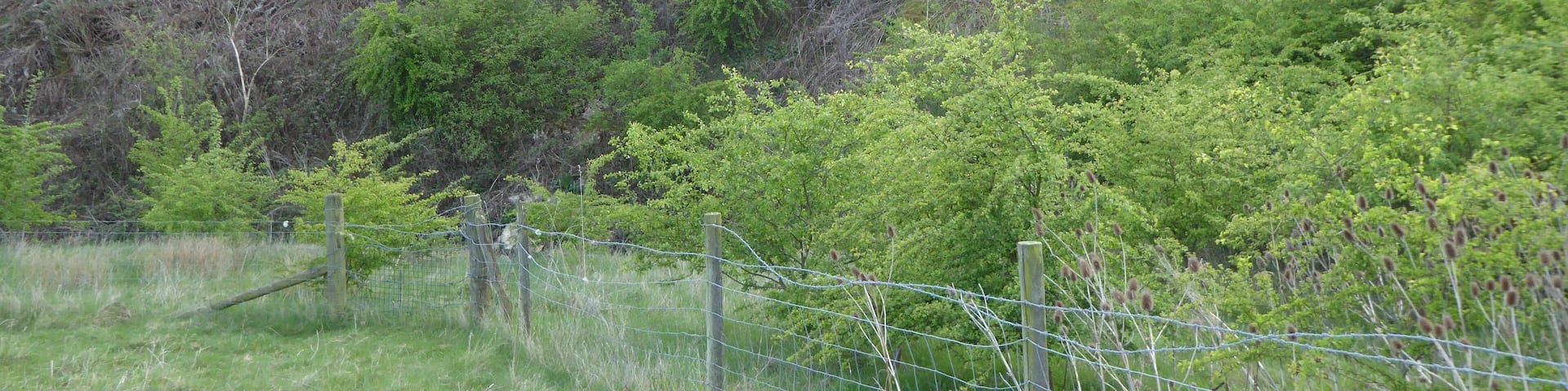 Cranford St John SSSI is a geological Site of Special Scientific Interest in Cranford St John in Northamptonshire.
