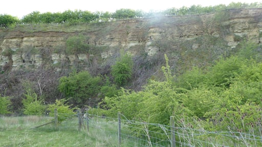 Cranford St John SSSI is a geological Site of Special Scientific Interest in Cranford St John in Northamptonshire.