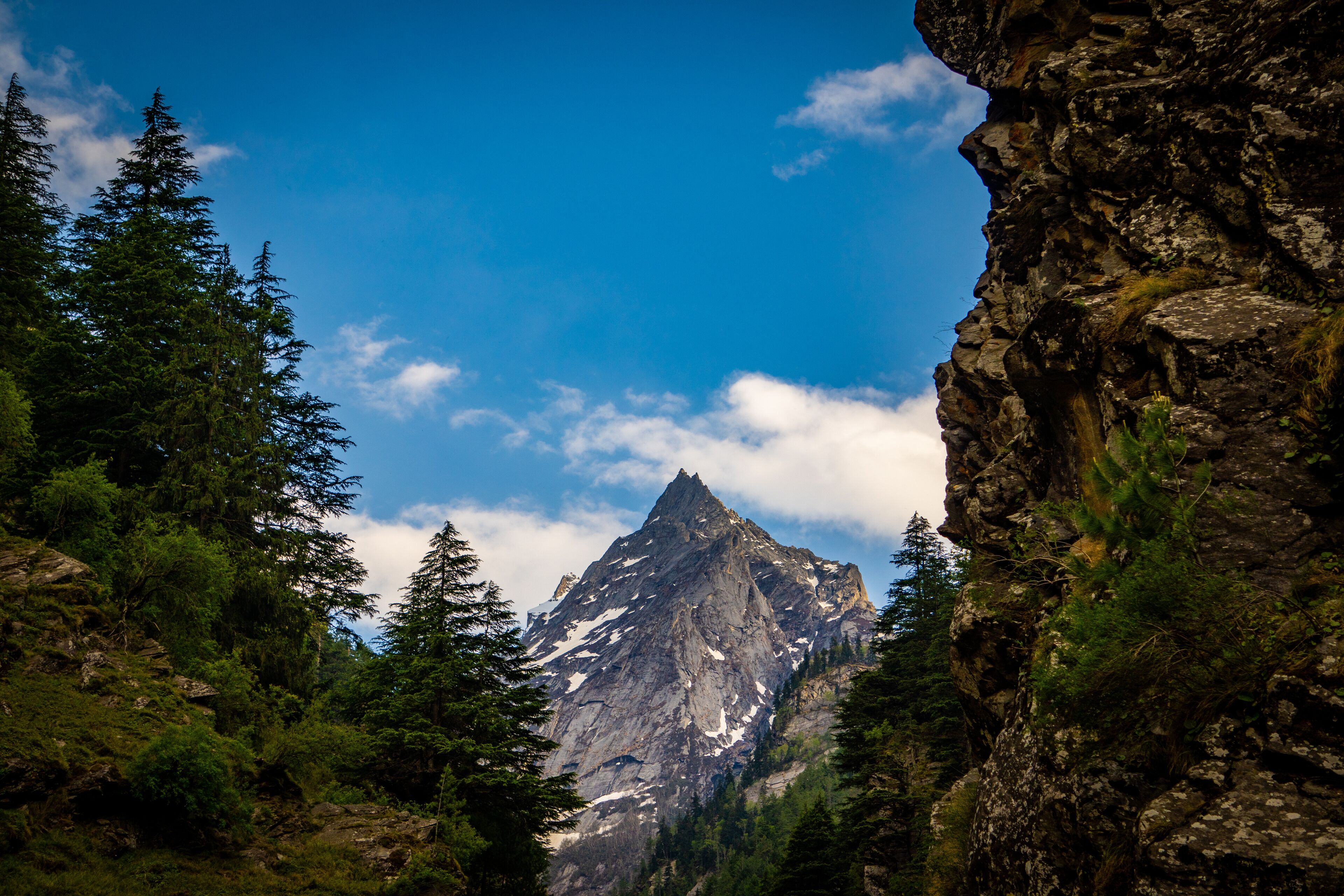 A mountain peak surrounded by dense forest and rocky cliffs.