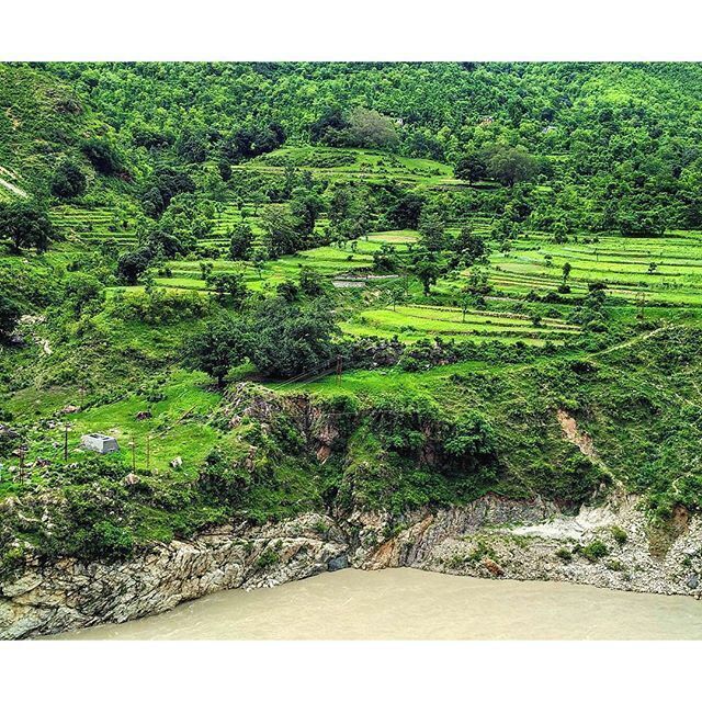 Day 1 - Haridwar to Joshimath
1 bus, 11 people, 12 hours. 
Deprived of sleep, I spent most of the time taking a nap or clicking pictures. We did introductions on the way, stopped for meals and learnt about the region from our much experienced driver. 
I was at Valley of flowers, Uttarakhand in the last week of July, a 6 day trip - my first after leaving the cubicle, also my first without anyone I knew.
I will be sharing one picture each day taking you through the journey and stories about how I managed to survive the first trek of my life.
#valleyofflowers #uttarakhand #uttarakhandtourism #haridwar #joshimath #india #indiatravel #travelpics #travelgram #photooftheday #instagood #instadaily #archives #instaseries #incredibleindia #greenery_scenery #greenery #trekking #roadtrip #mountains #xiaomi #uotraveller #uoaroundyou #latergram #hills #adventuretime #sogreen #lostinmaps #indiapictures #indiaclicks