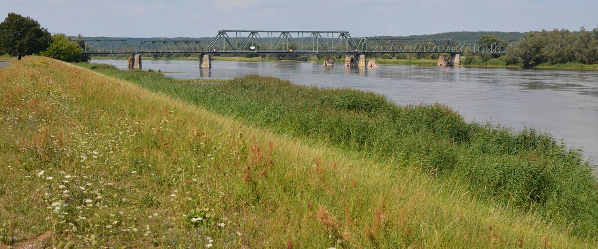 A steel bridge over a river with grassy banks and trees in the background.