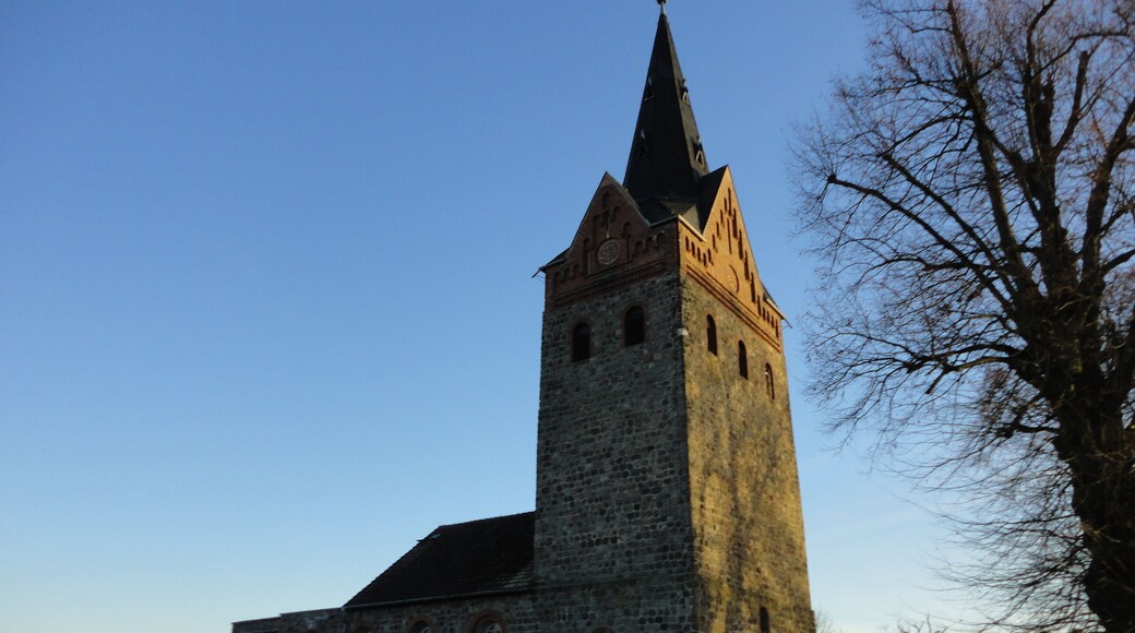 This is a picture of the Brandenburger Baudenkmal (cultural heritage monument) with the ID