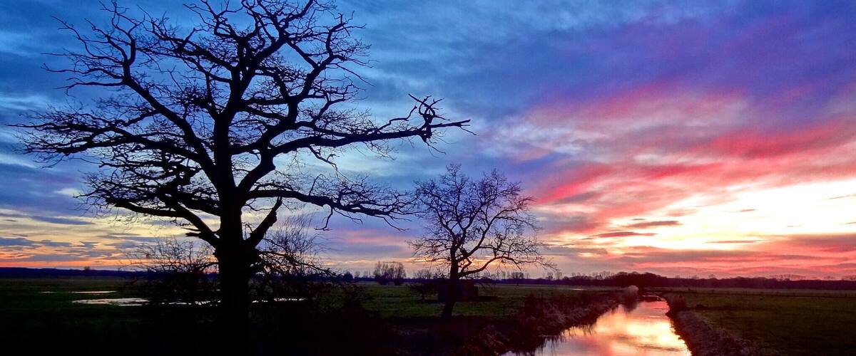 A tree silhouetted against a colorful sunset sky, with a calm water body reflecting the scene.