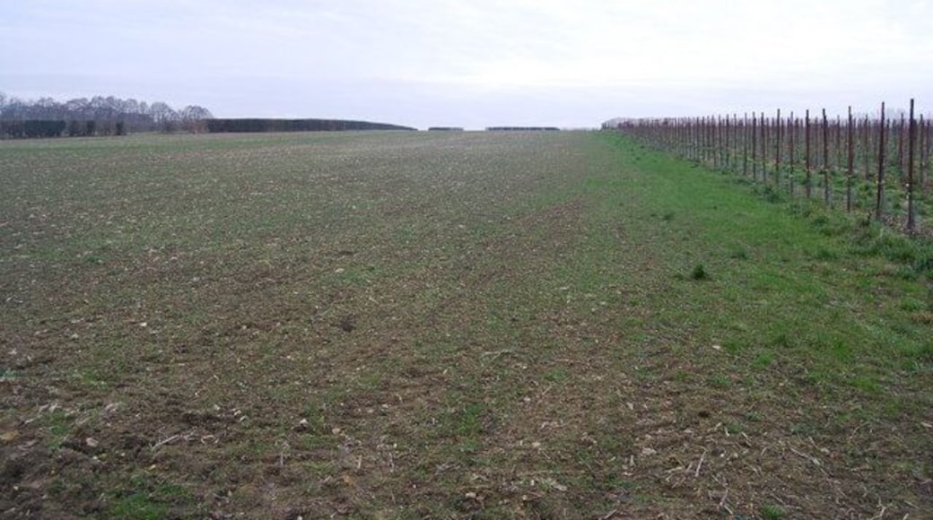 Former orchard, near Wierton This field has been grubbed up & will now be used for arable crops which give a better return than fruit.