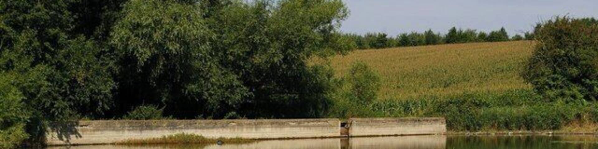 Weir Near Mount Pleasant Farm.. The weir in the background holds back the waters of a lake on the footpath from 68157 and Mount Pleasant Farm.