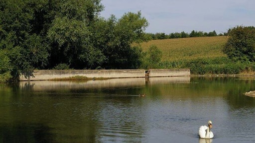 Weir Near Mount Pleasant Farm.. The weir in the background holds back the waters of a lake on the footpath from 68157 and Mount Pleasant Farm.