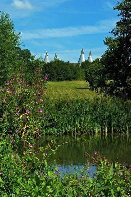View to Langley Park Farm. This is the view from the footpath from St Marys Langley to Mount Pleasant Farm looking north across the pond towards Langley Park Farm.