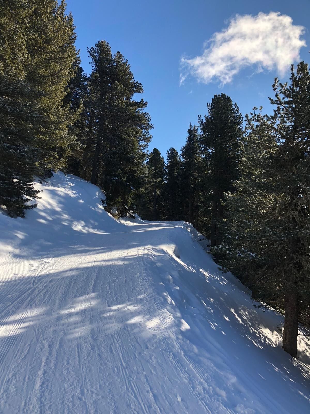 #LifeAtExpediaGroup

Hiking to the top of the Patscherkofel mountain in Austria is silent and peaceful. The only noise you can hear is the sound of the snow crunching underneath your boot. Walking 3km up to the peak is the only way to get to the top of the mountain, where more incredible views await you.

