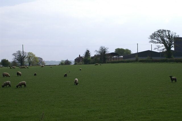 View to Crossfield Farm.