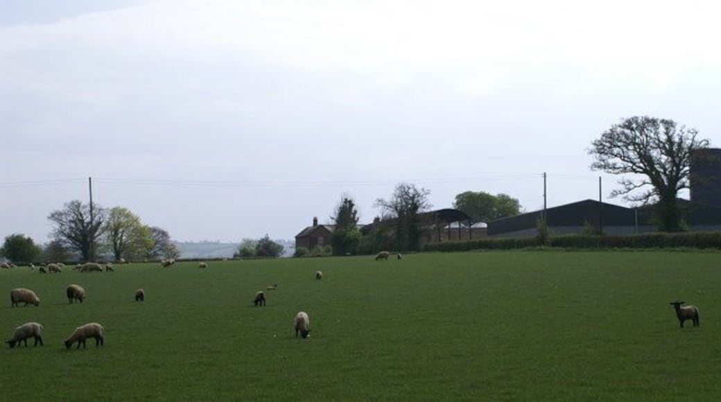 View to Crossfield Farm.