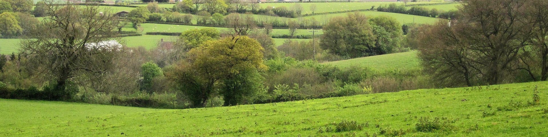 Countryside east of Hawkridge Reservoir, looking down the Peart Water valley. In the distance is Bridgwater Bay