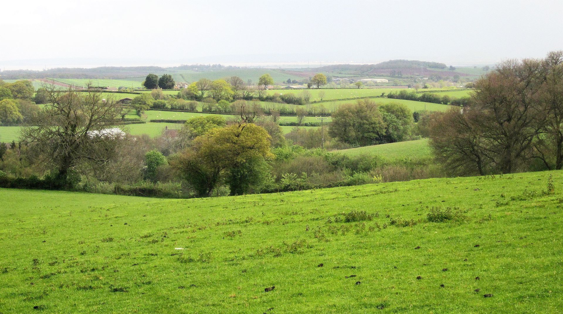 A lush green field with rolling hills, scattered trees, and distant fields.
