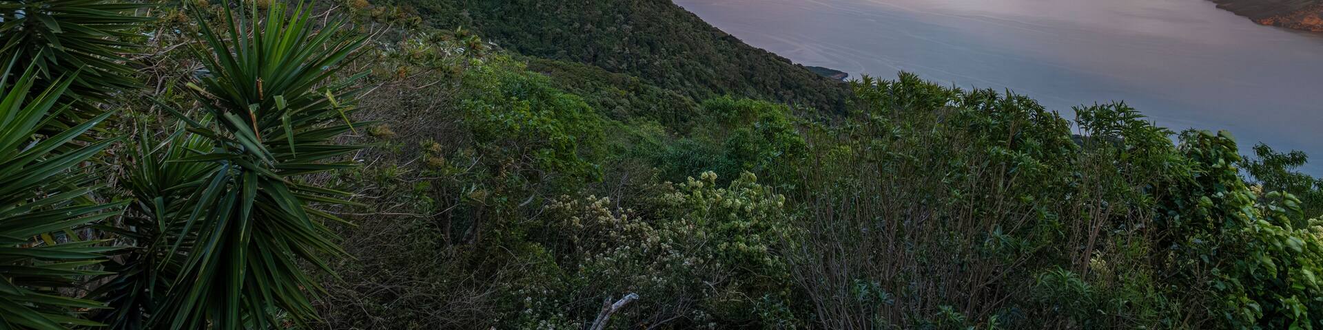 View of Fonesca Gulf and La Union Bay from the top of Conchagua Volcano observation platform at sunset hour in El Salvador. The place were borders of Honduras, Nicaragua and El Salvador meet.
