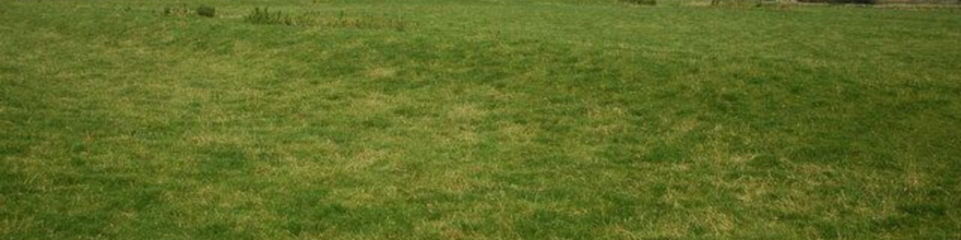 Earthworks at Ascott d'Oyley Earthworks on the site of Acsott d'Oyley Castle. See: http://www.ecastles.co.uk/ascot.html