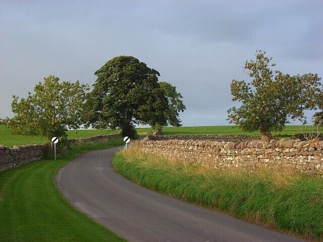 Road at Newton Reigny This is the road as it leaves Catterlen Hall (an impressive fortified house with a curious footbridge over the road). Catterlen Hall is on the edge of Newton Reigny and a mile or so from the main part of Catterlen. Both villages are within the civil parish of Catterlen.