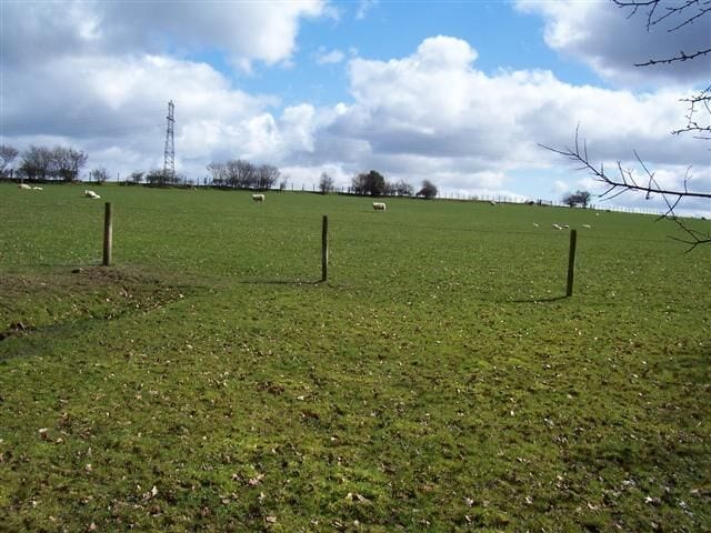 Lambs making the most of the sunshine. Note the powerline in the background that is marked on the maps.