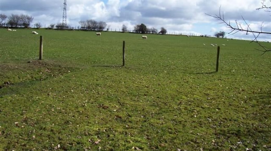 Lambs making the most of the sunshine. Note the powerline in the background that is marked on the maps.
