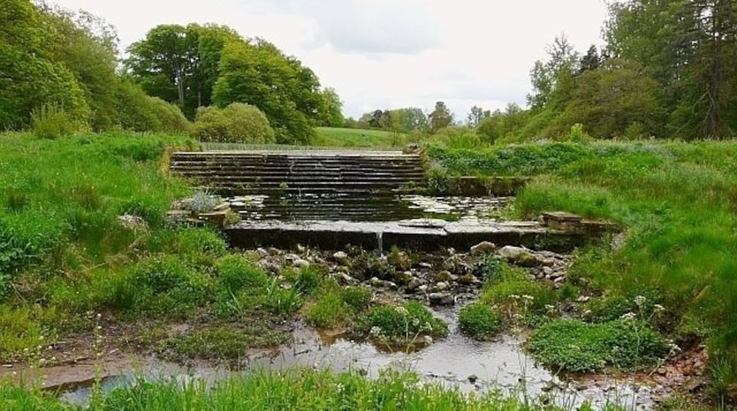 Cascade, Hutton-in-the-Forest Made in the 1730s. The grounds here are full of colourful wild flowers.