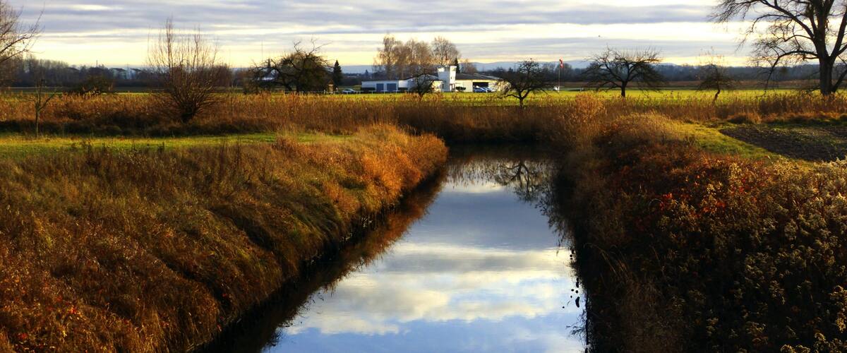 A narrow water channel with reflections of trees and sky, surrounded by grassy fields and a distant white building.