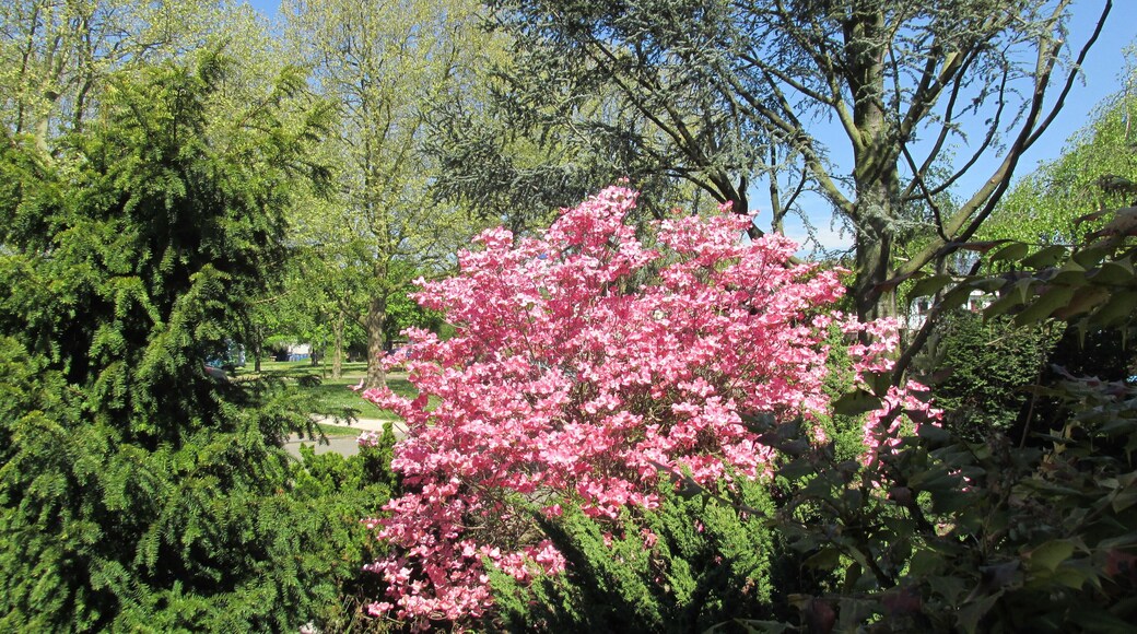 Frühling am Raiffeisenplatz