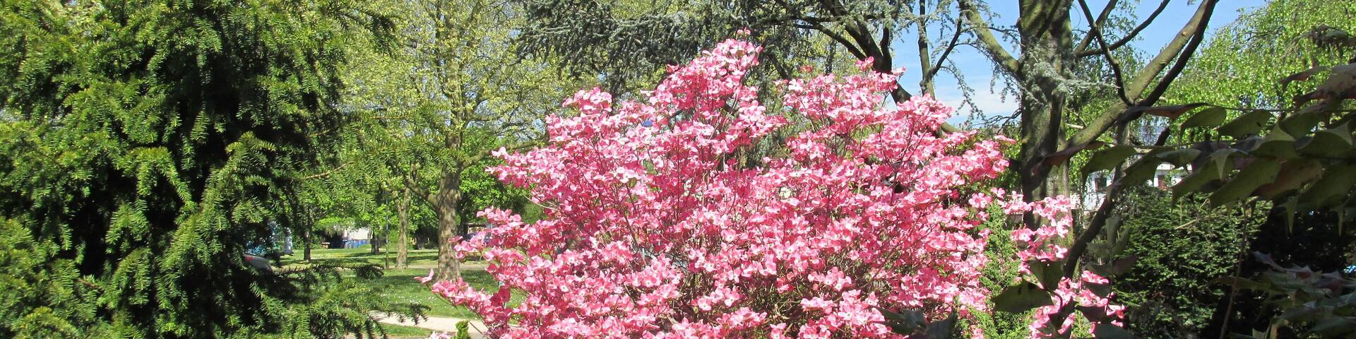 Frühling am Raiffeisenplatz