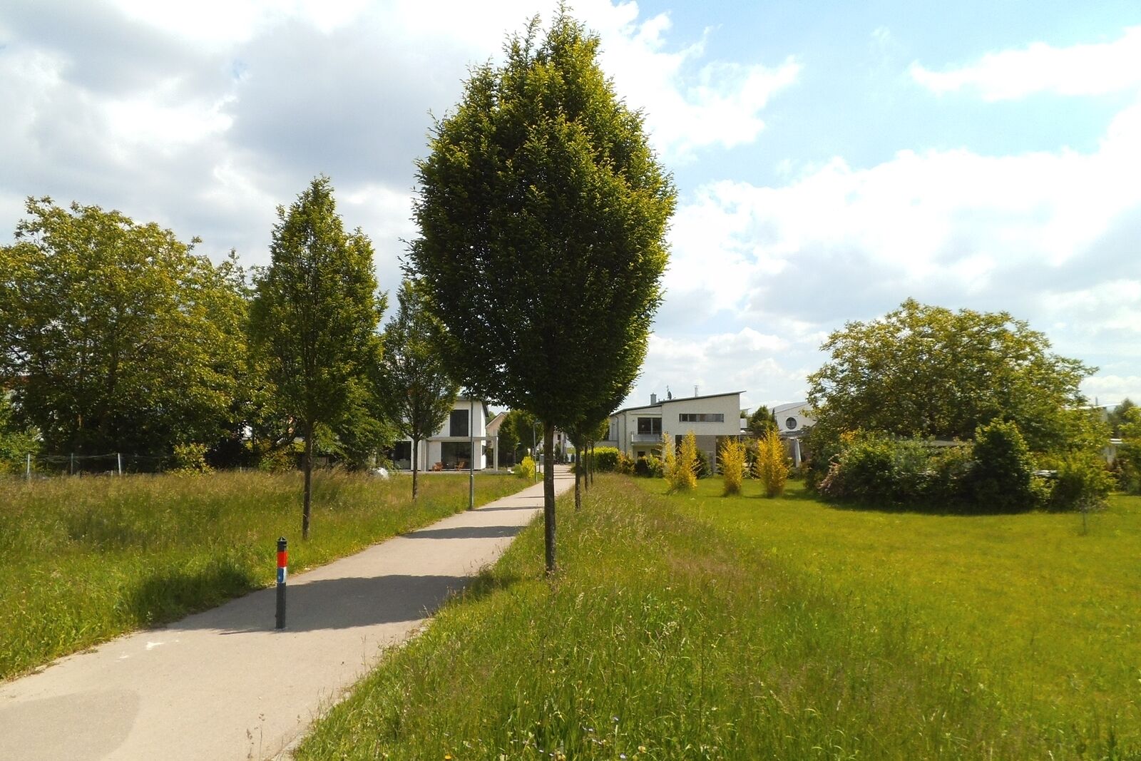 A pathway lined with trees leading to modern houses in a green, grassy area.