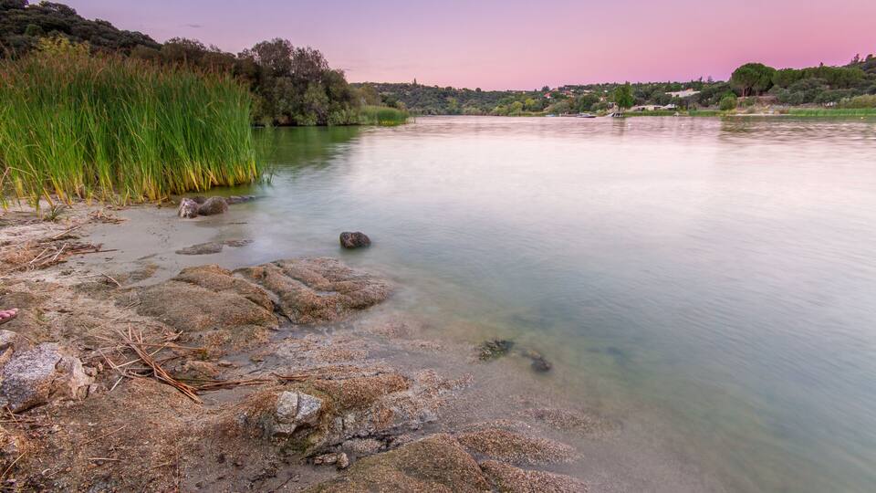A river with clear water, surrounded by rocks and vegetation.