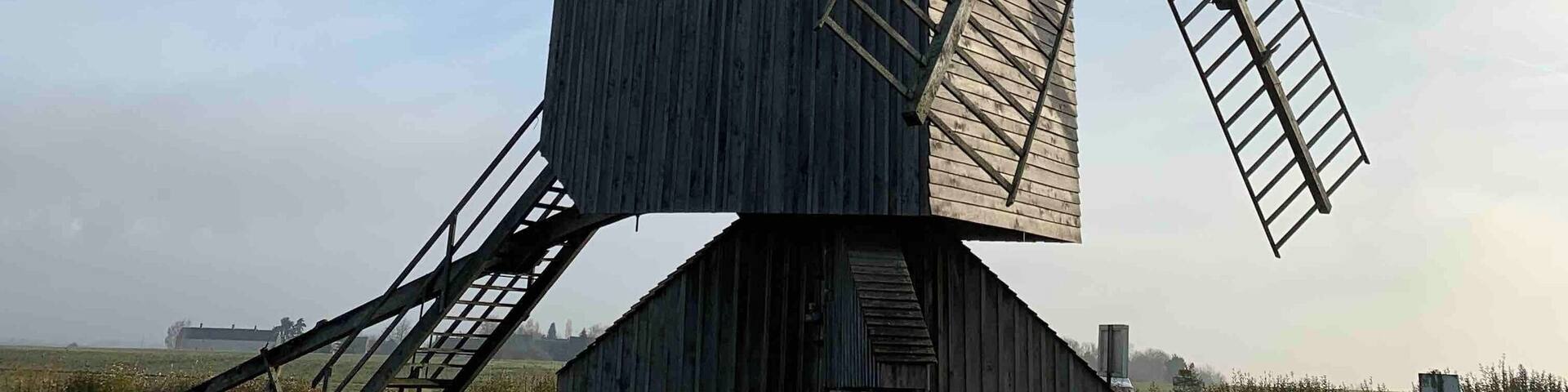 “You must be willing to let go of the life you have planned so as to have the life that is waiting for you” #france