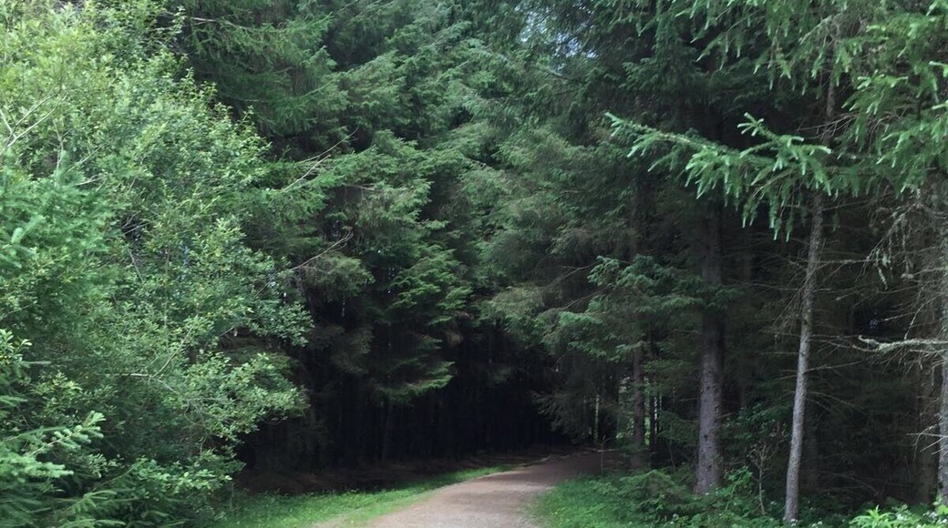 Photo taken high above the Rhondda valley,