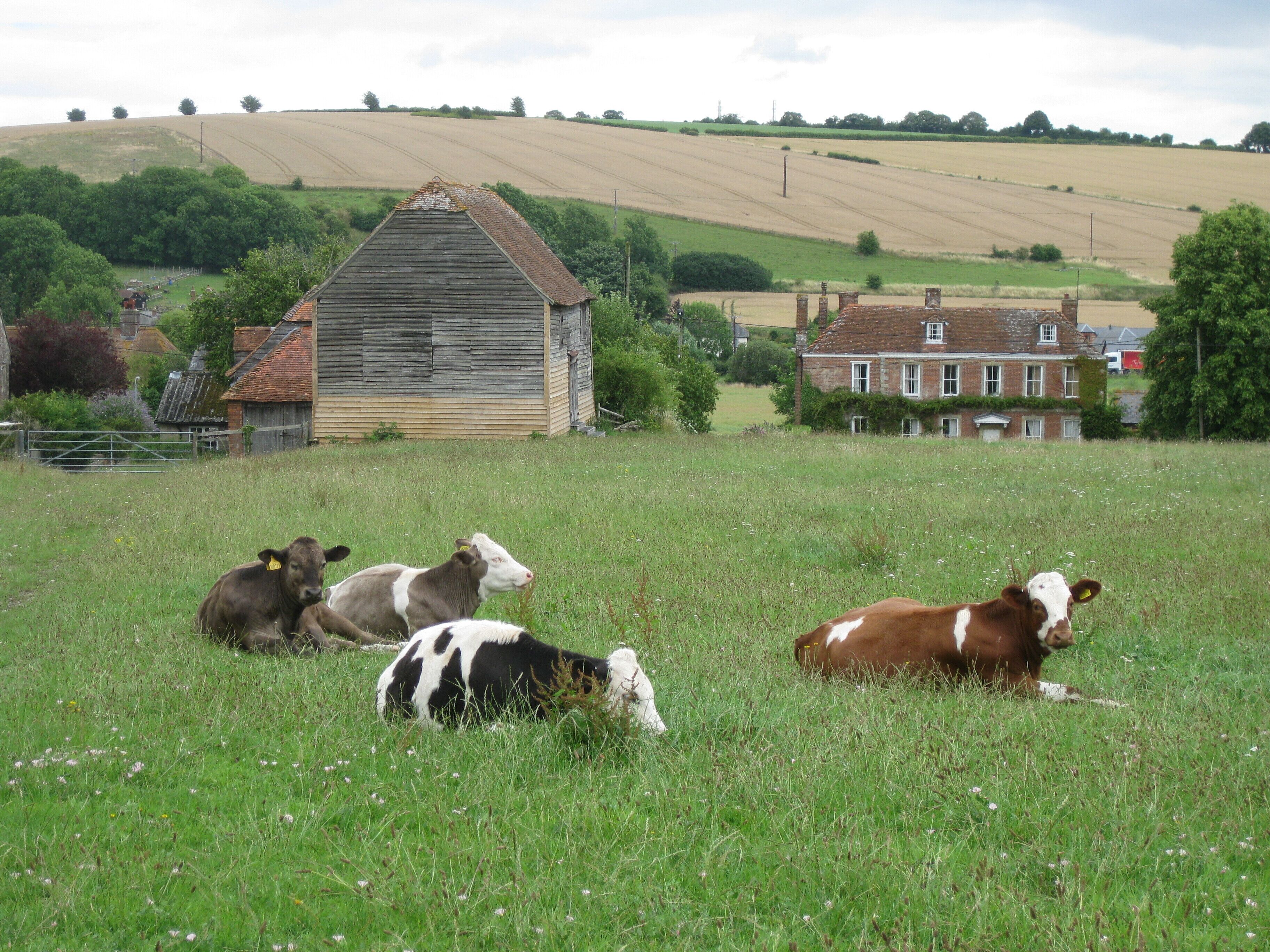 Oak Apple Field, Great Wishford, Wiltshire, England, taken from Station Road looking East.