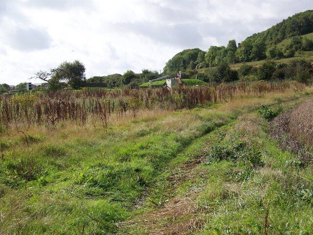 Sewage works and bridleway, South Newton The bridleway heads across the railway to Custom Bottom.