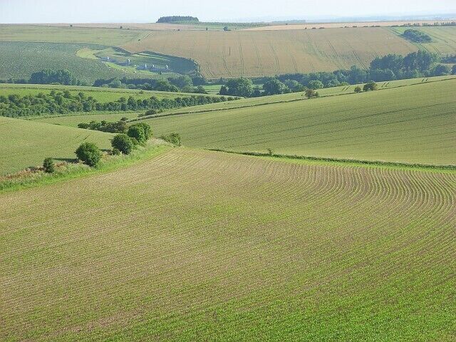 Farmland, Little Langford In the valley between Ebsbury and Grovely Castle.